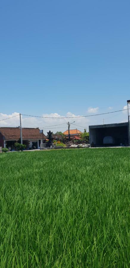 Sun Homestay Canggu Exterior photo